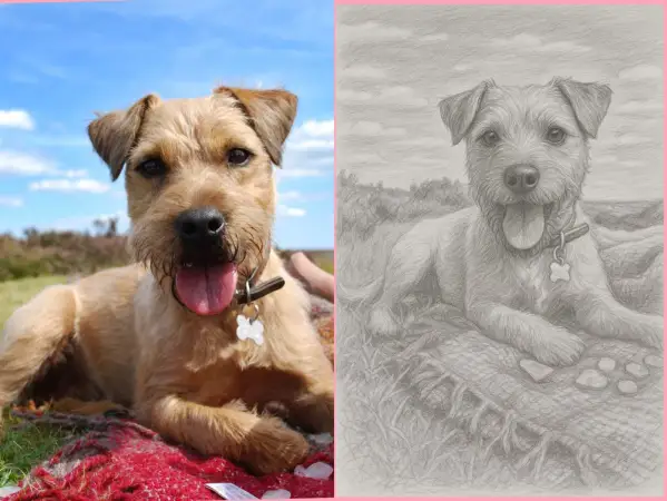 Click Here To Enlarge This Photo Of Pet Portrait