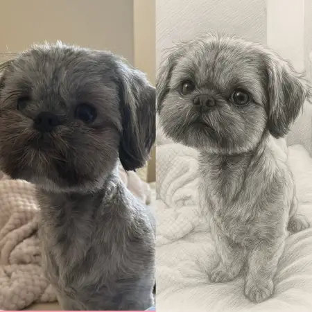 Click Here To Enlarge This Photo Of Pet Portrait