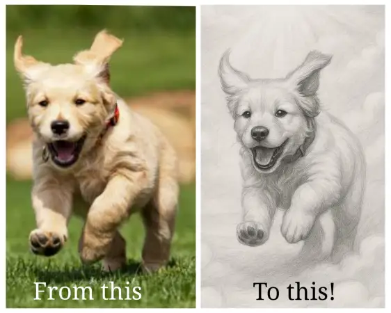 Click Here To Enlarge This Photo Of Pet Portrait