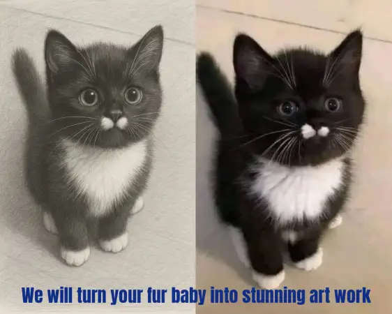 Click Here To Enlarge This Photo Of Pet Portrait