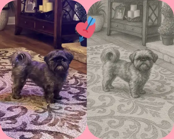 Click Here To Enlarge This Photo Of Pet Portrait